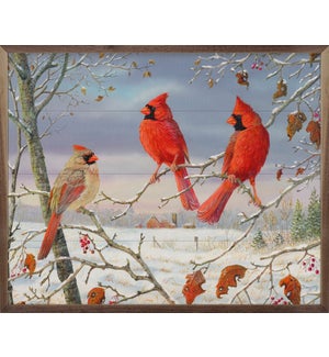 First Snow Cardinals By Terry Doughty